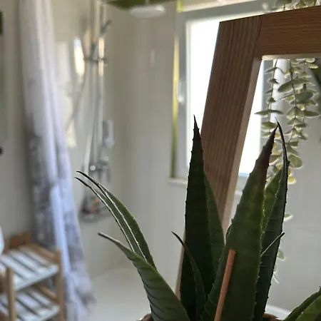 Nuesso Apartment Durres
